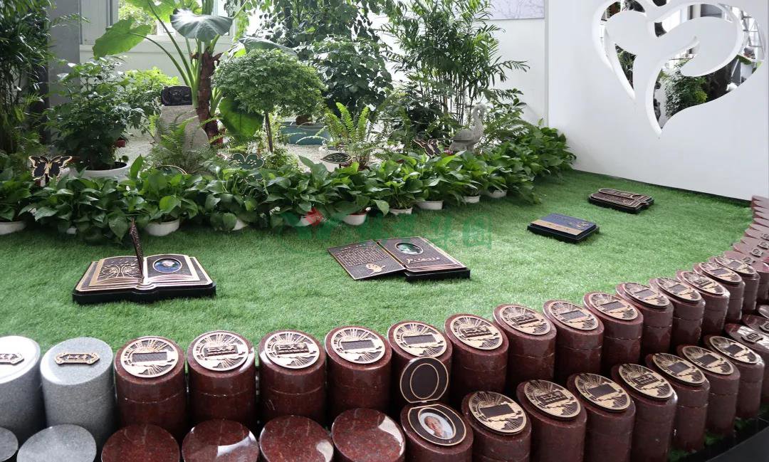 南宫NG28相信品牌的实力网址(中国)官网