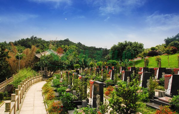 南宫NG28相信品牌的实力网址(中国)官网