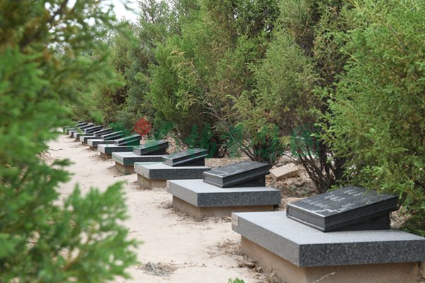 南宫NG28相信品牌的实力网址(中国)官网