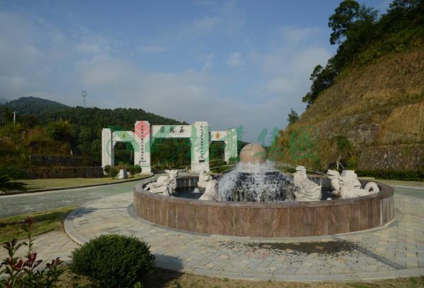 南宫NG28相信品牌的实力网址(中国)官网