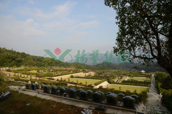 南宫NG28相信品牌的实力网址(中国)官网