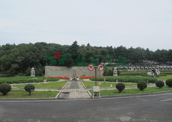 南宫NG28相信品牌的实力网址(中国)官网