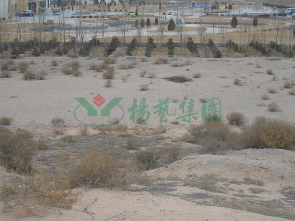 南宫NG28相信品牌的实力网址(中国)官网