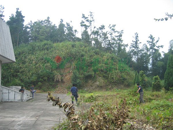 南宫NG28相信品牌的实力网址(中国)官网