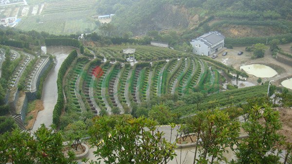 南宫NG28相信品牌的实力网址(中国)官网