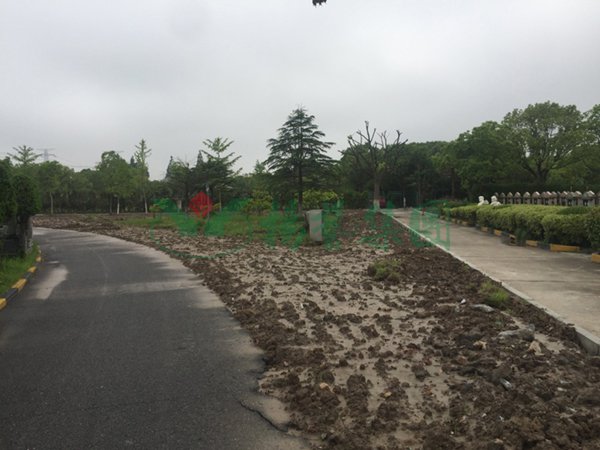 南宫NG28相信品牌的实力网址(中国)官网