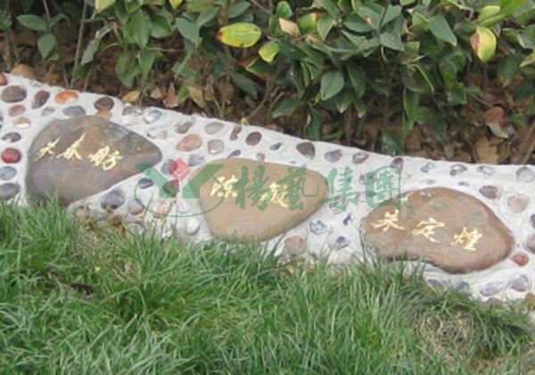 南宫NG28相信品牌的实力网址(中国)官网