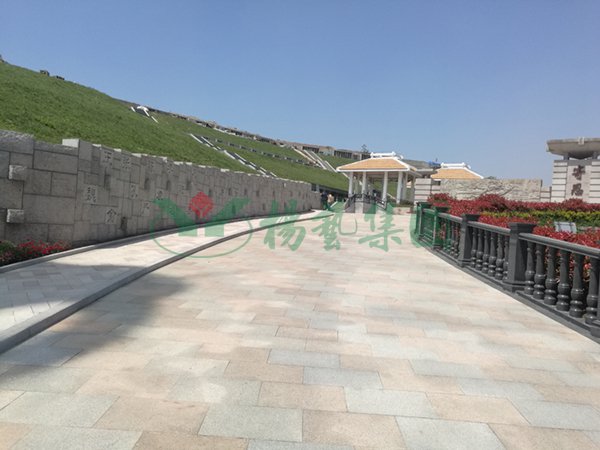 南宫NG28相信品牌的实力网址(中国)官网