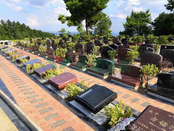 南宫NG28相信品牌的实力网址(中国)官网