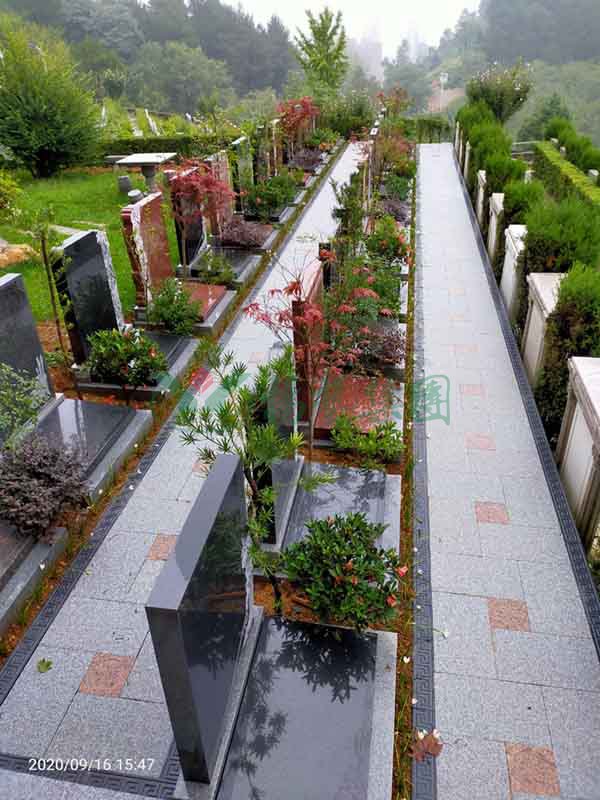 南宫NG28相信品牌的实力网址(中国)官网