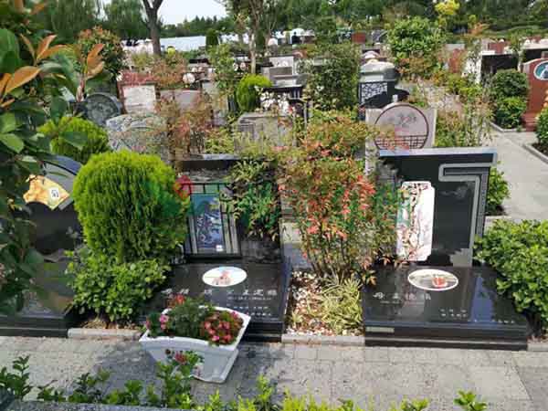 南宫NG28相信品牌的实力网址(中国)官网