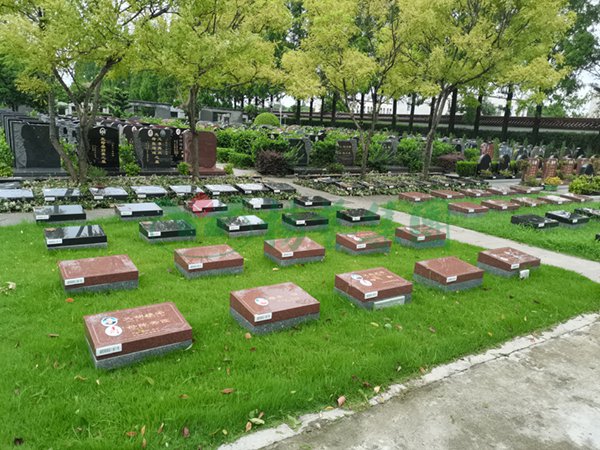 南宫NG28相信品牌的实力网址(中国)官网