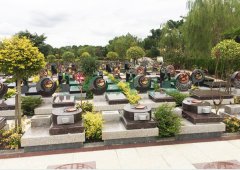 上；；；；；；懔靶腔鹎