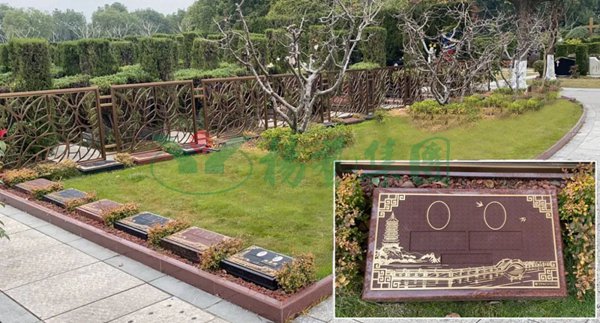 南宫NG28相信品牌的实力网址(中国)官网