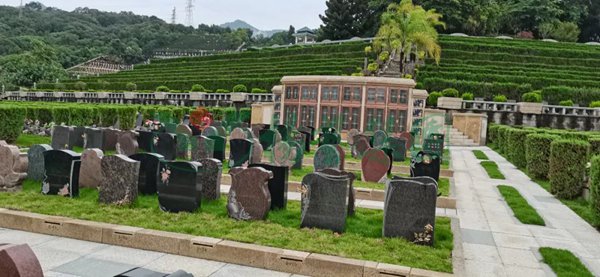 南宫NG28相信品牌的实力网址(中国)官网