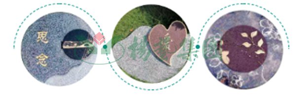 南宫NG28相信品牌的实力网址(中国)官网