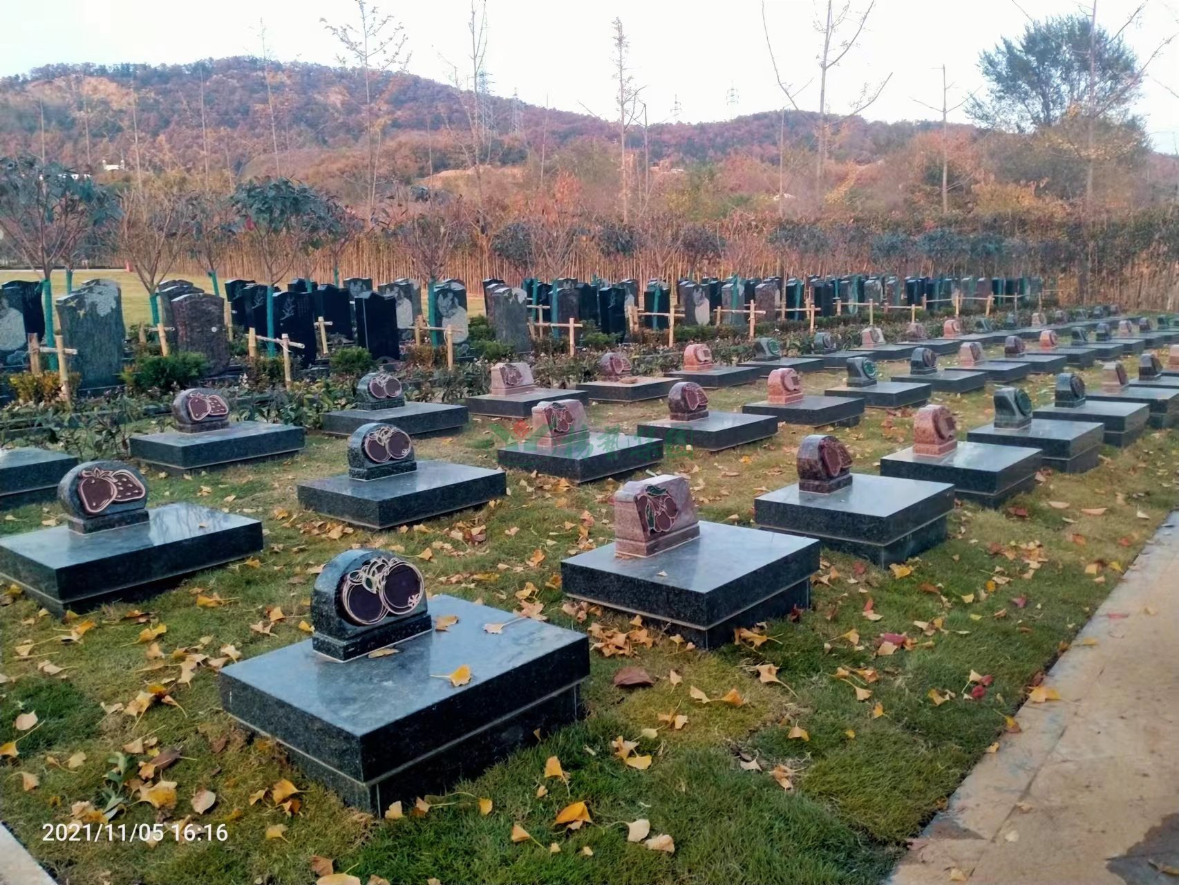 南宫NG28相信品牌的实力网址(中国)官网