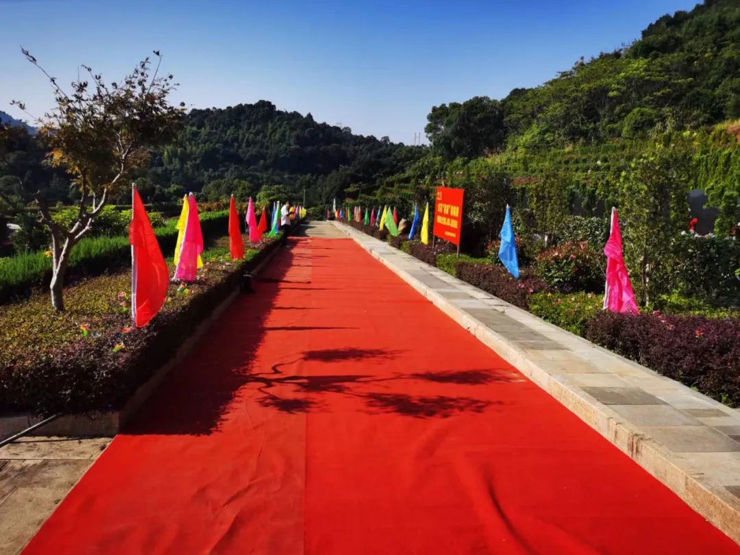 南宫NG28相信品牌的实力网址(中国)官网