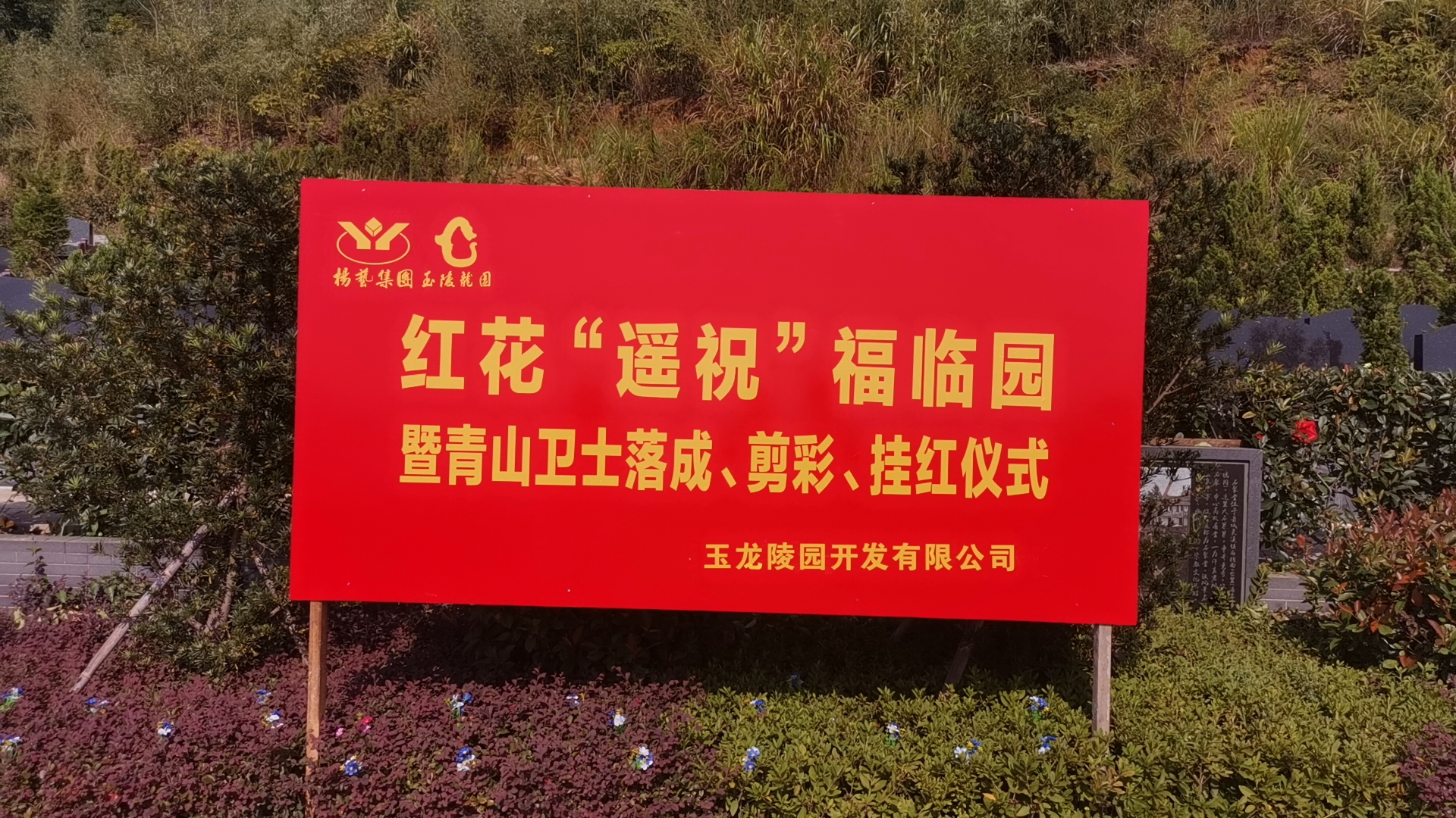 红花传爱意，，，，，情满玉龙园！