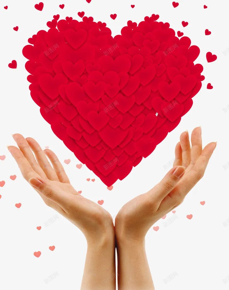 南宫NG28相信品牌的实力网址(中国)官网