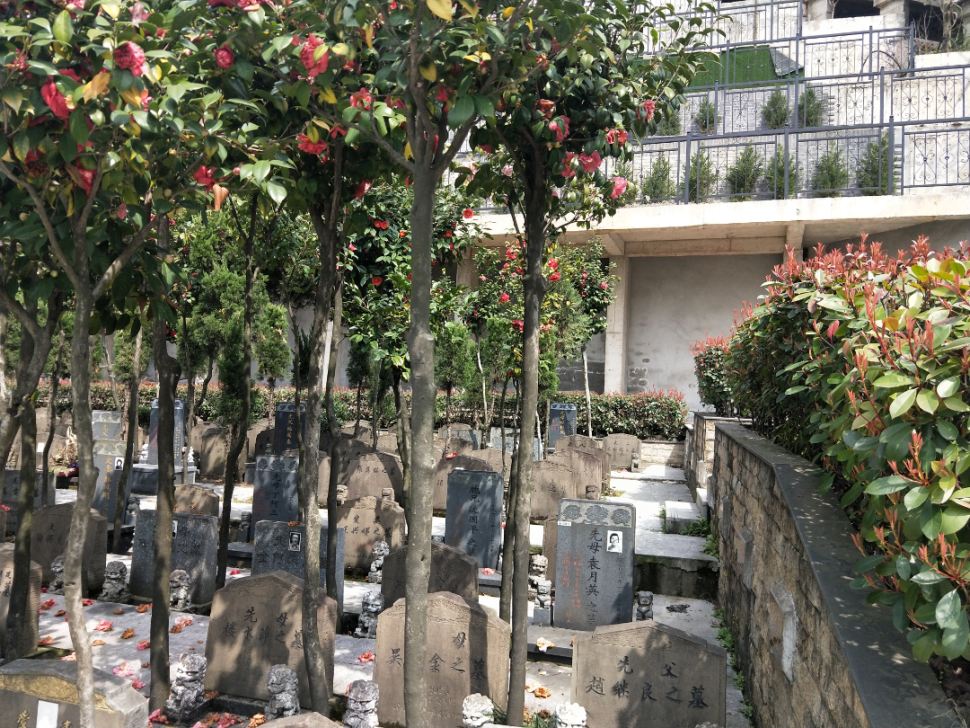 南宫NG28相信品牌的实力网址(中国)官网