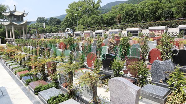 南宫NG28相信品牌的实力网址(中国)官网