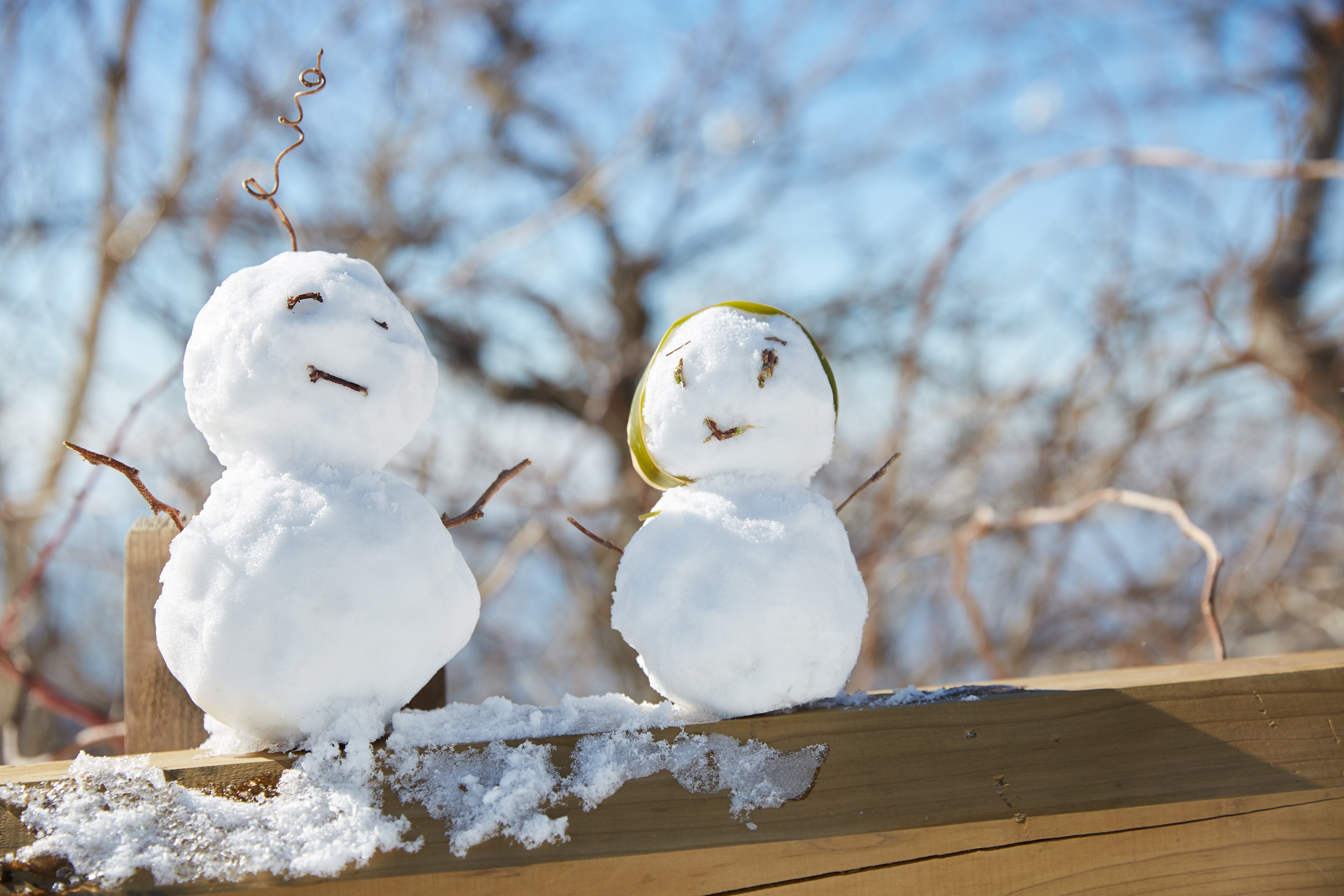 冬至，，，，，，暖“杨”相伴 | 南宫NG28人全力配合各墓园冬至落葬