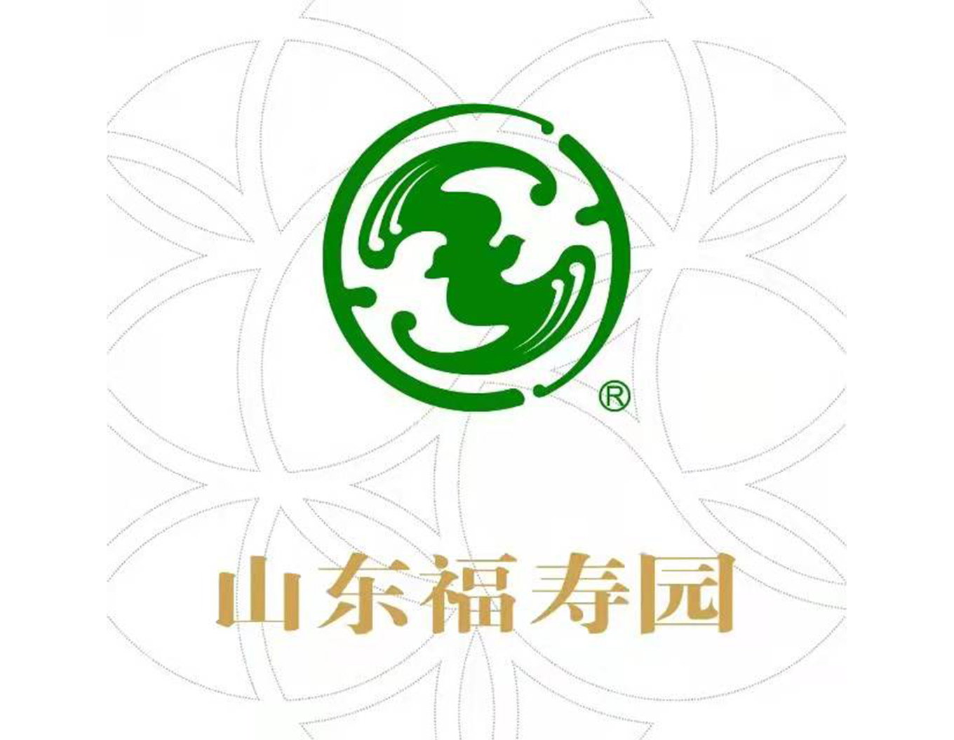 南宫NG28相信品牌的实力网址(中国)官网