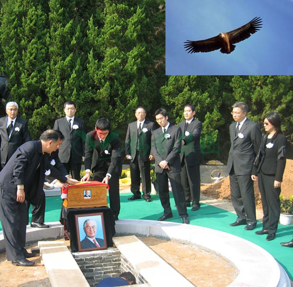 南宫NG28相信品牌的实力网址(中国)官网