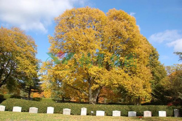 南宫NG28相信品牌的实力网址(中国)官网