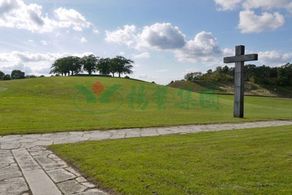 南宫NG28相信品牌的实力网址(中国)官网