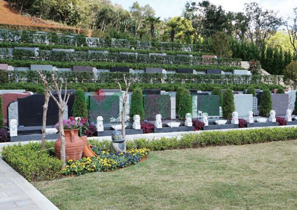 南宫NG28相信品牌的实力网址(中国)官网