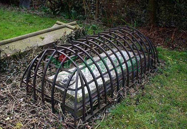 南宫NG28相信品牌的实力网址(中国)官网