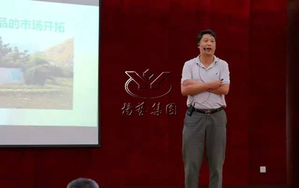 南宫NG28相信品牌的实力网址(中国)官网