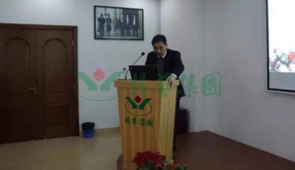 南宫NG28相信品牌的实力网址(中国)官网