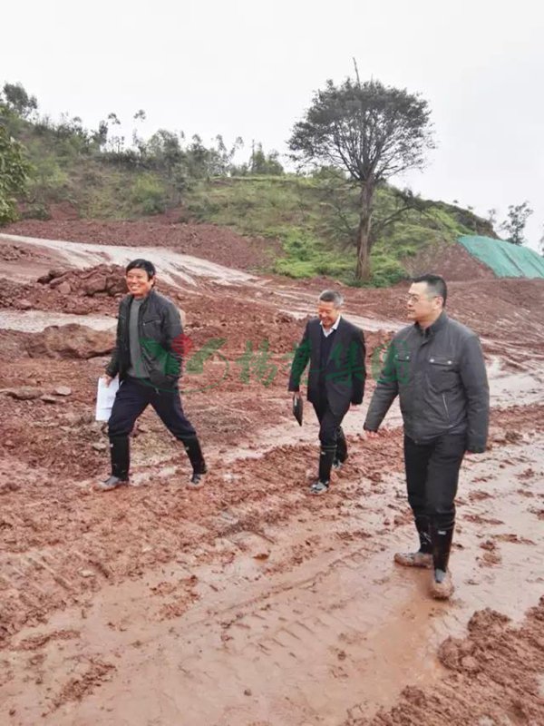 南宫NG28相信品牌的实力网址(中国)官网