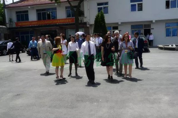 南宫NG28相信品牌的实力网址(中国)官网