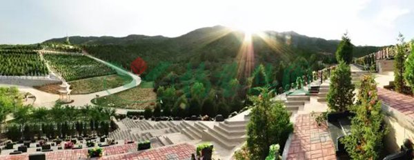 南宫NG28相信品牌的实力网址(中国)官网