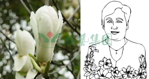 南宫NG28相信品牌的实力网址(中国)官网