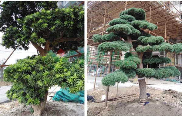 南宫NG28相信品牌的实力网址(中国)官网