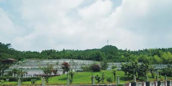 南宫NG28相信品牌的实力网址(中国)官网