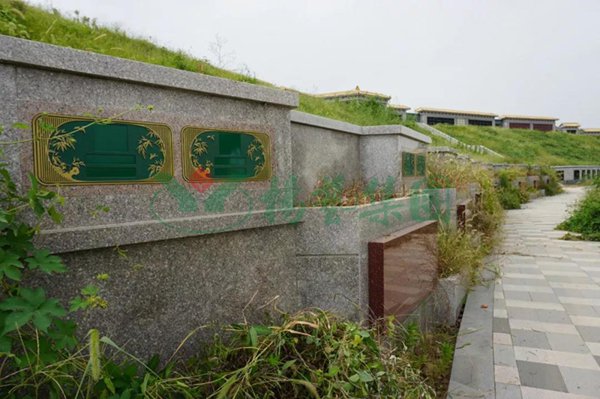 南宫NG28相信品牌的实力网址(中国)官网