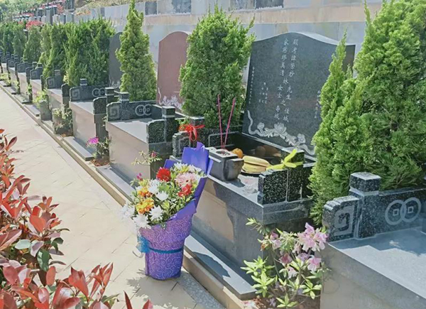 南宫NG28相信品牌的实力网址(中国)官网