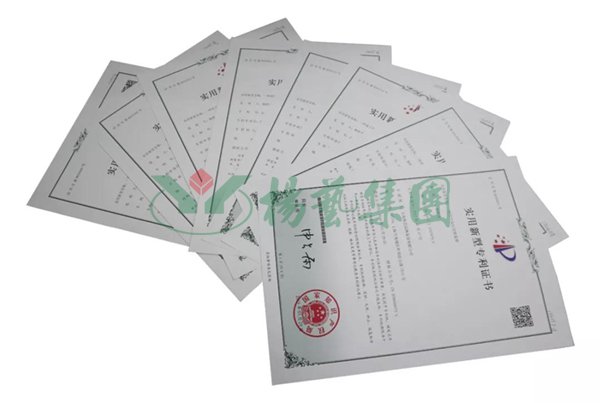 南宫NG28相信品牌的实力网址(中国)官网