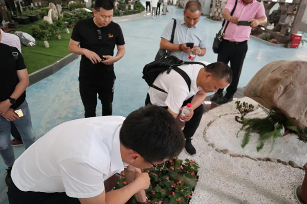 南宫NG28相信品牌的实力网址(中国)官网