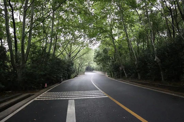 南宫NG28相信品牌的实力网址(中国)官网