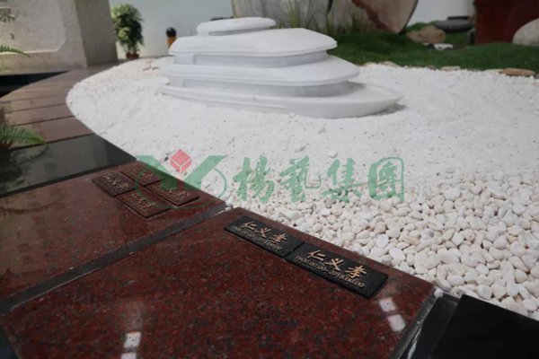 南宫NG28相信品牌的实力网址(中国)官网