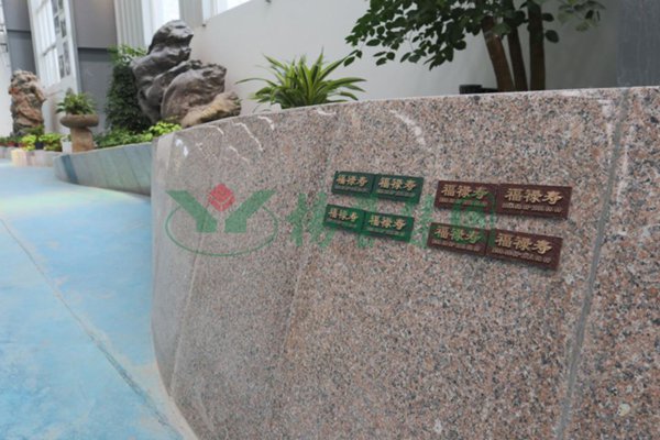 南宫NG28相信品牌的实力网址(中国)官网