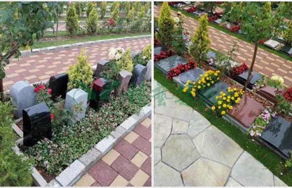 南宫NG28相信品牌的实力网址(中国)官网