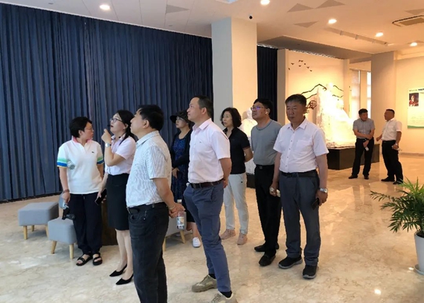 南宫NG28相信品牌的实力网址(中国)官网